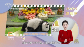 白昼追凶